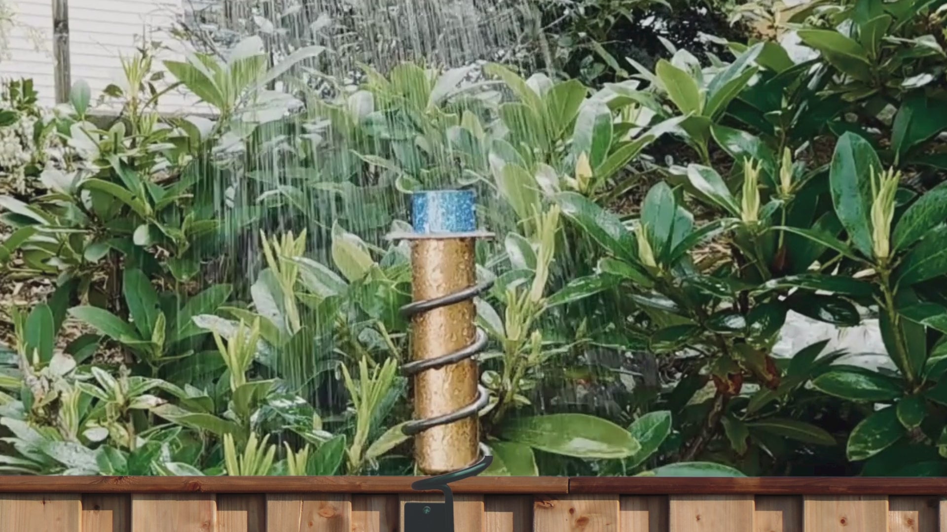 backyard rain gauge