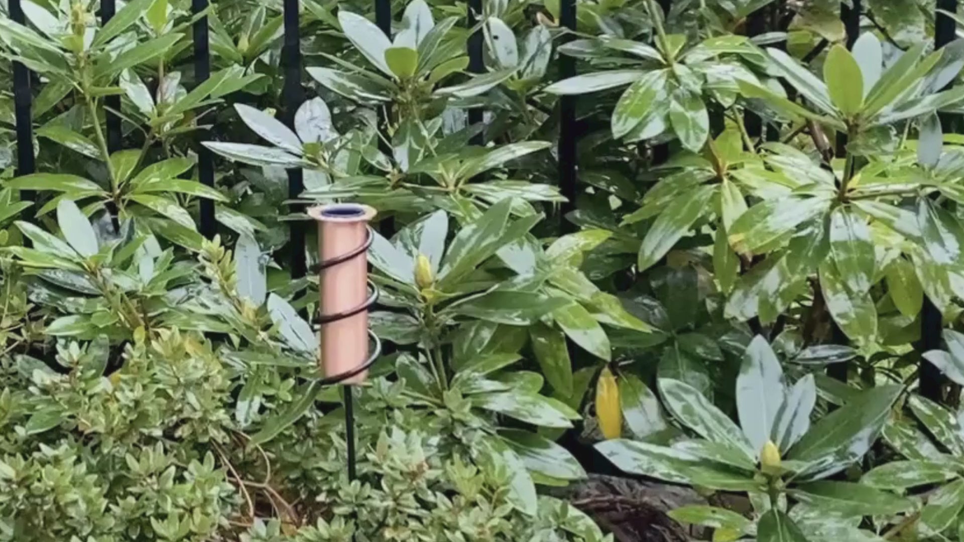 floating rain gauge tube