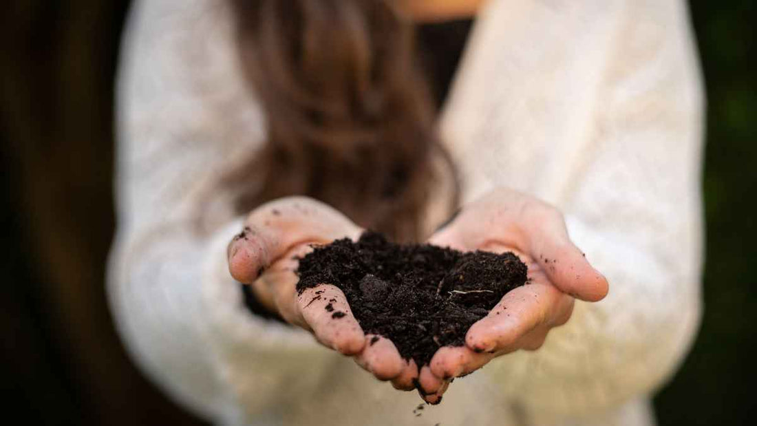woman holding finished compost