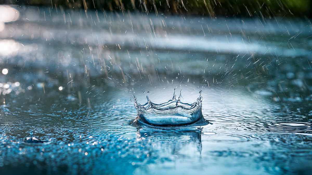 15 Strange and Fascinating Rain Facts Most Gardeners Don't Know – World ...