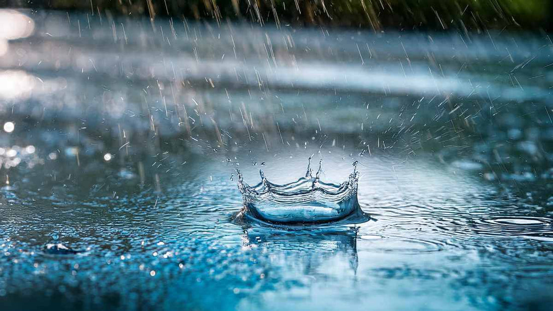 15 Strange and Fascinating Rain Facts Most Gardeners Don't Know - World's Coolest Rain Gauge Co.