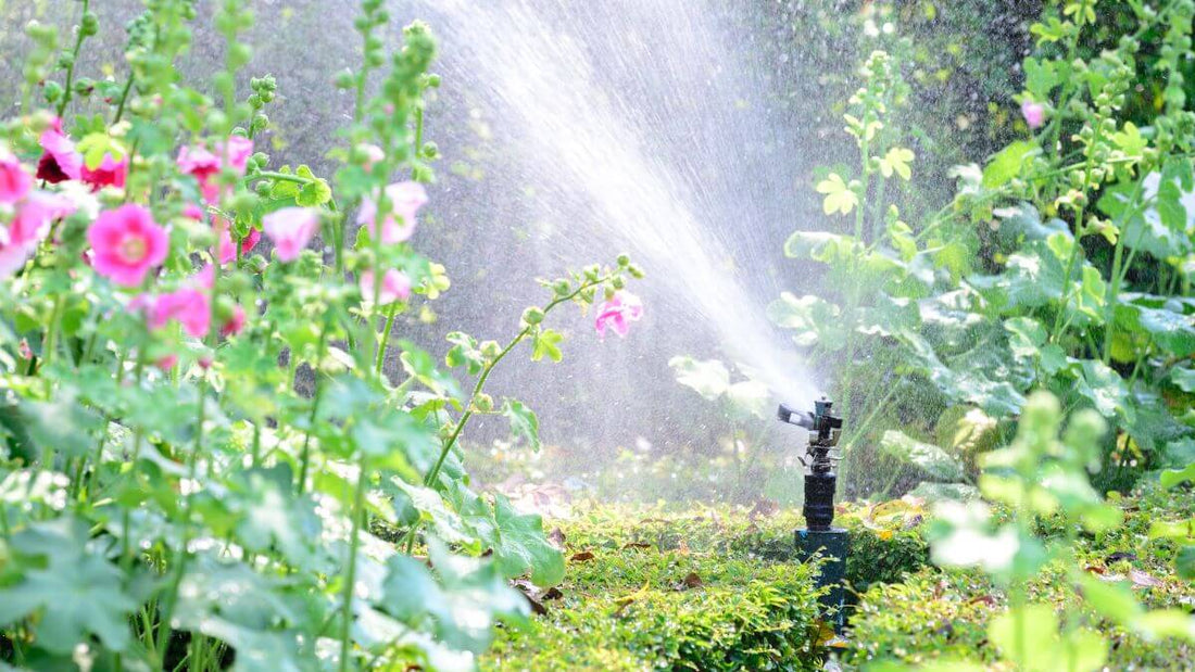sprinkler disbursing water to a garden