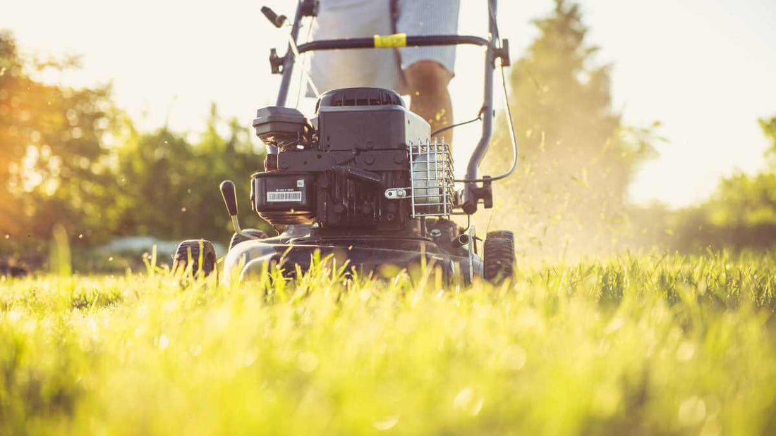 lawn grass being mowed