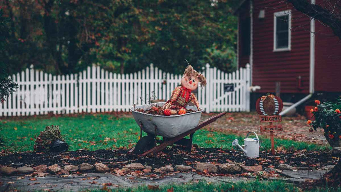 scarecrow and wheelbarrow in garden