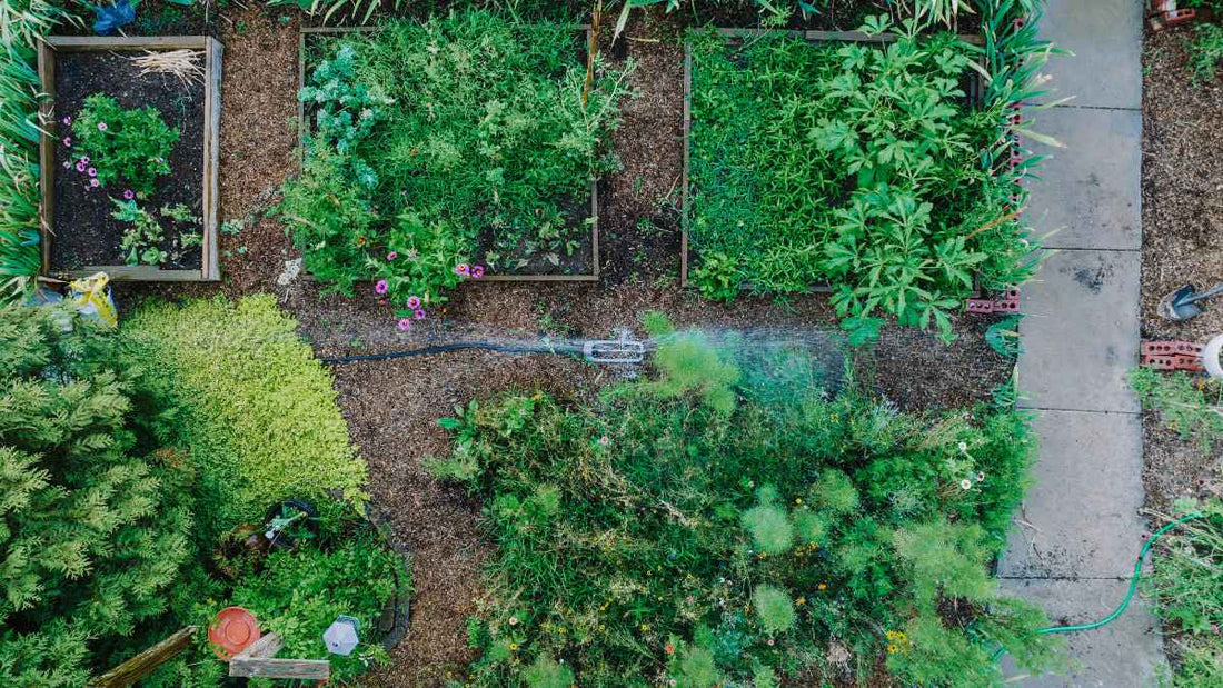 watering a raised bed garden