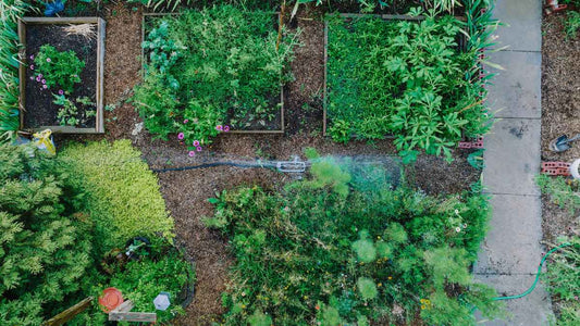 watering a raised bed garden