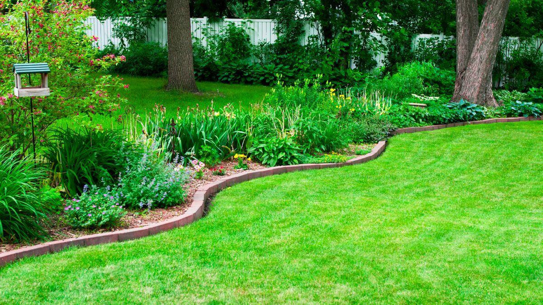 landscape bed with edging