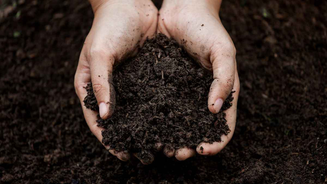 hands in soil