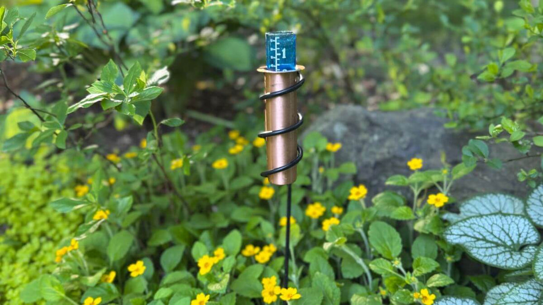 copper rain gauge with hostas and shade plants