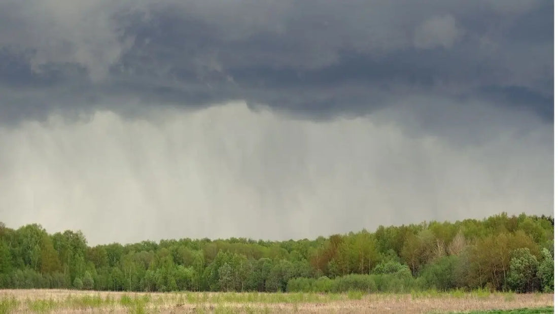rain sweeping over a landscape