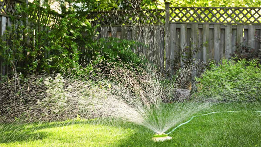 sprinkler watering grass