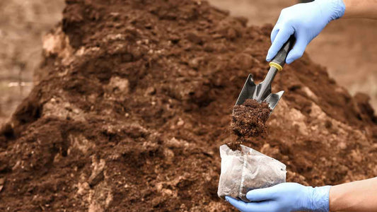 gathering soil for a soil test
