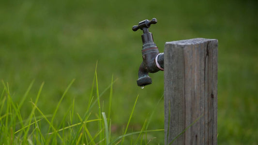 Better Water for Healthier Plants: Tap Water, Softened Water & Rainwater - World's Coolest Rain Gauge Co.