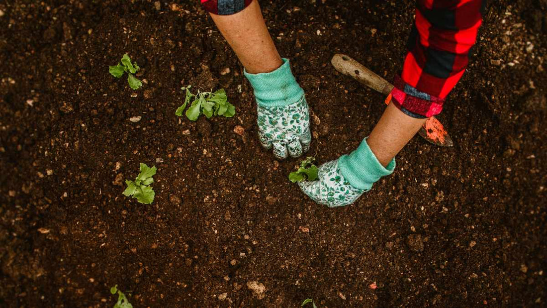 woman wearing garden gloves in soil