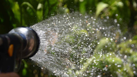root zone watering