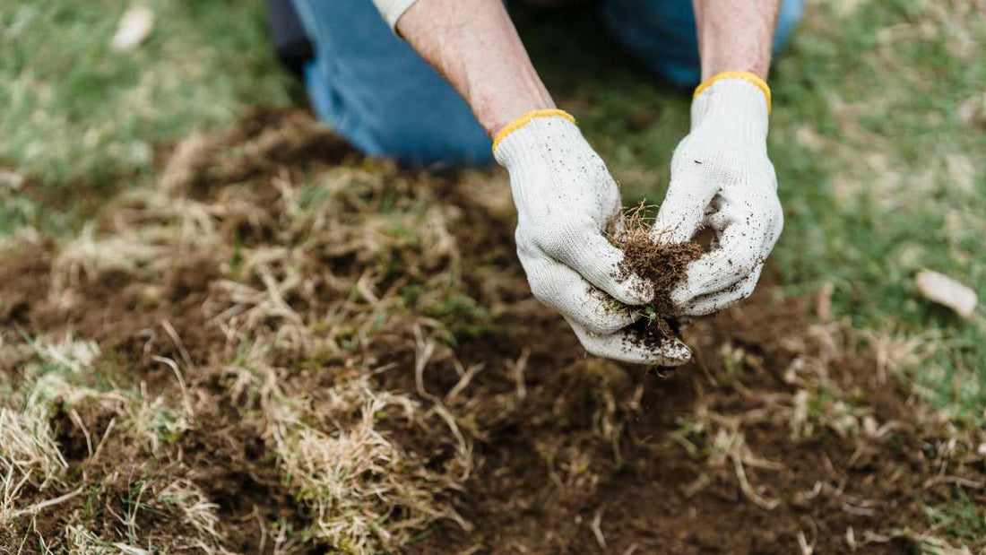 person working with soil