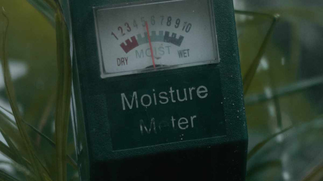 soil moisture meter