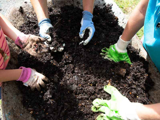 hands in healthy soil