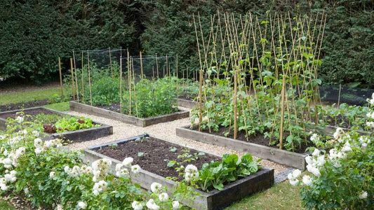 Can Good Soil Go Bad? Signs Your Garden Soil Is Declining - World's Coolest Rain Gauge Co.