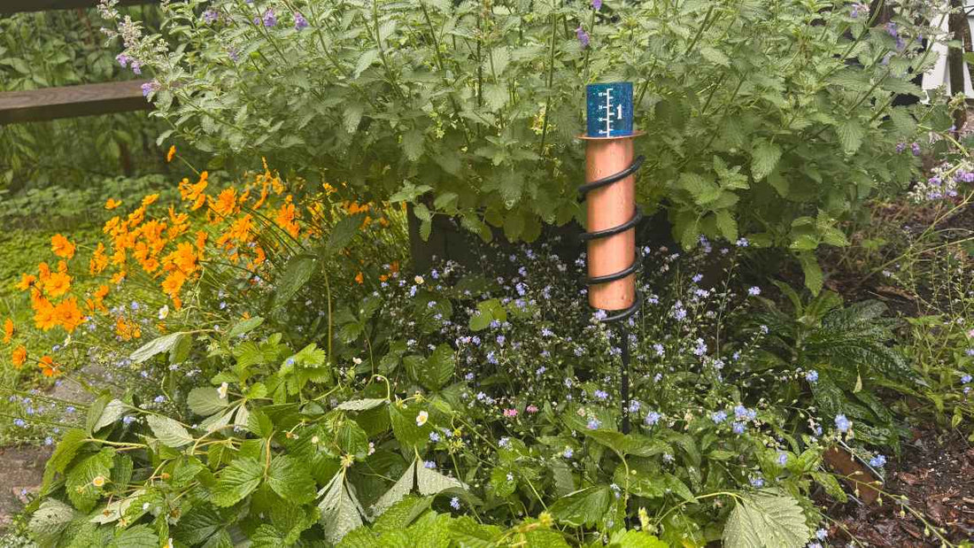 Choosing the Right Rain Gauge for Your Needs - World's Coolest Rain Gauge Co.