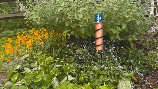 Choosing the Right Rain Gauge for Your Needs - World's Coolest Rain Gauge Co.