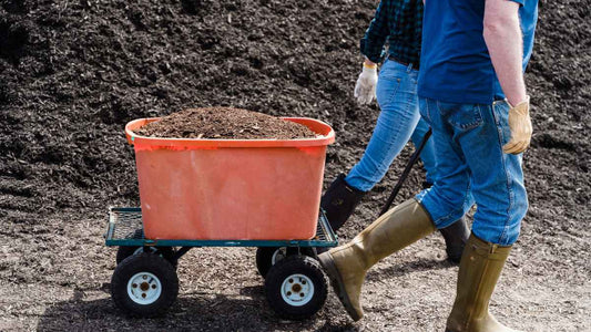 Composting Alternatives: 5 Ways to Turn Food Waste Into Compost and Garden Soil - World's Coolest Rain Gauge Co.