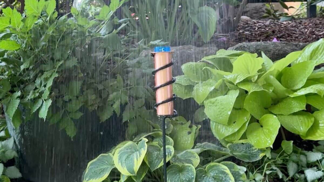 rain falling into a rain gauge