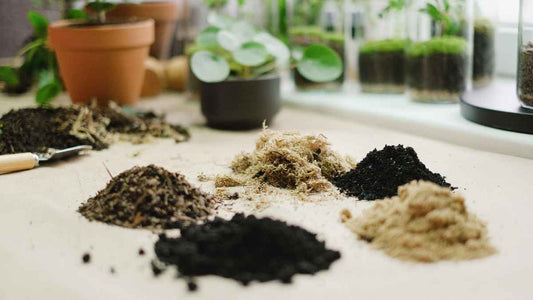 Easy Ways to Tell What Type of Soil You Have - World's Coolest Rain Gauge Co.