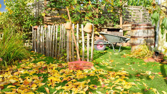 rustic garden in fall