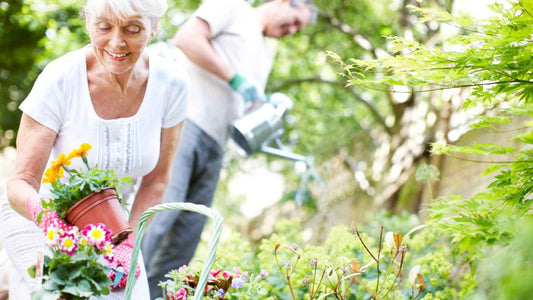 older couple gardening together