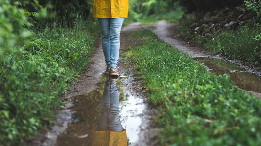 walking on a rainy path