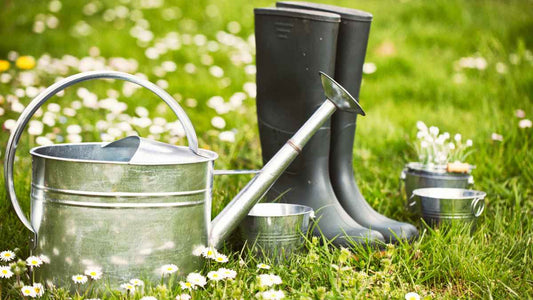 watering can and rain boots in daisy field