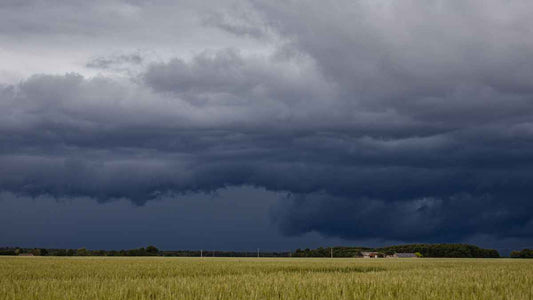 dark sky ahead of rain