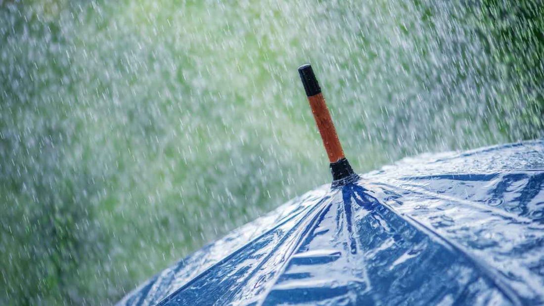 rain falling on a blue umbrella