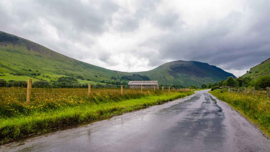 rain soaked road and field
