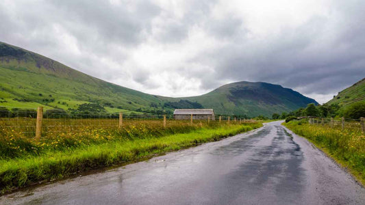 rain soaked road and field
