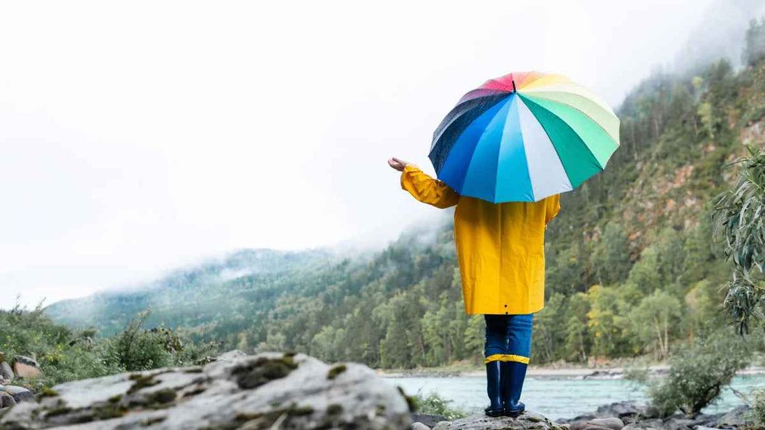person with umbrella in the rain