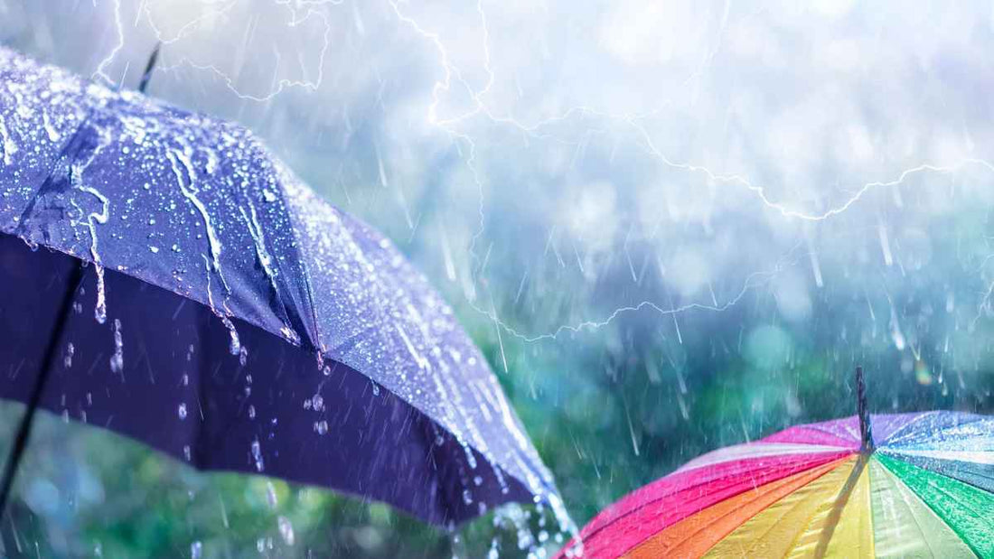 umbrellas in the rain