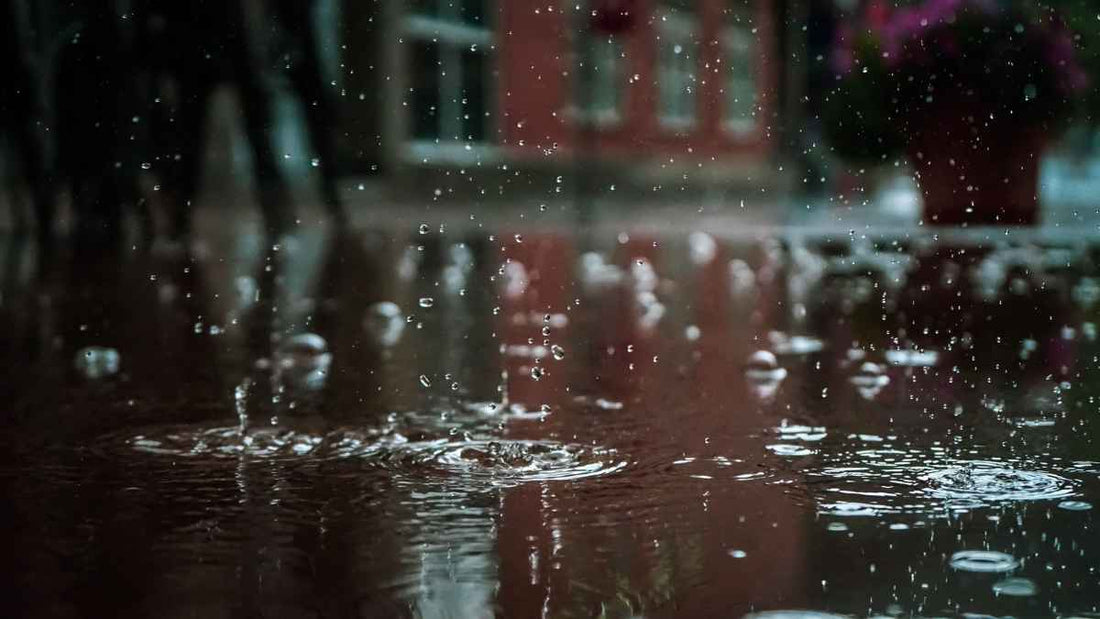 raindrops falling on pavement