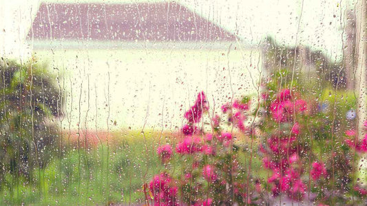 white barn through a wet window