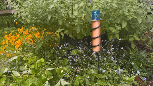 How Much Rain Do Plants Need? - World's Coolest Rain Gauge Co.