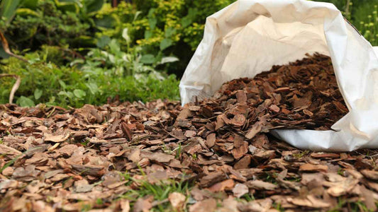 How Much Water Can Mulch Actually Save? - World's Coolest Rain Gauge Co.