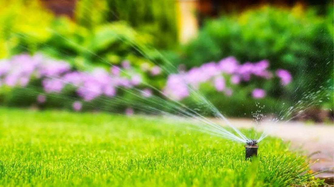 How Much Water Does a Lawn Need? A Simple Guide for Healthier Grass - World's Coolest Rain Gauge Co.