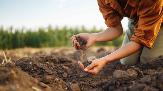 How to Apply Compost: When, Where, and How Much to Use - World's Coolest Rain Gauge Co.