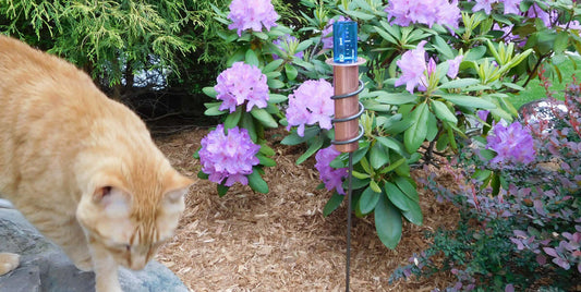 How to Choose a Rain Gauge That Lasts for Years - World's Coolest Rain Gauge Co.