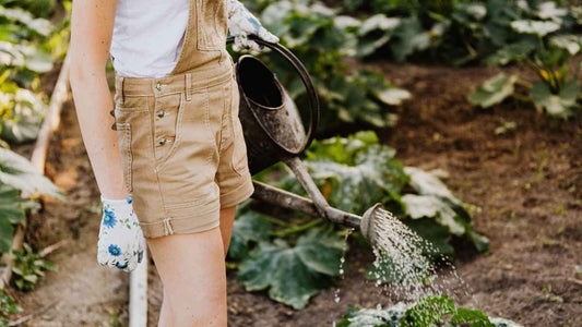 How To Make And Use Compost Tea In Your Garden - World's Coolest Rain Gauge Co.