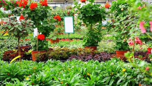 How to Read a Plant Tag at the Garden Center - World's Coolest Rain Gauge Co.