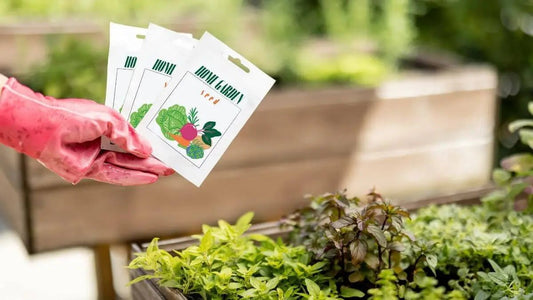 How To Read Seed Packet Information for Better Garden Results - World's Coolest Rain Gauge Co.