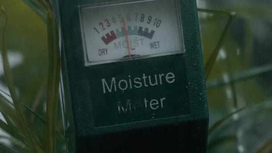 How to Test Soil Moisture Before Watering - World's Coolest Rain Gauge Co.