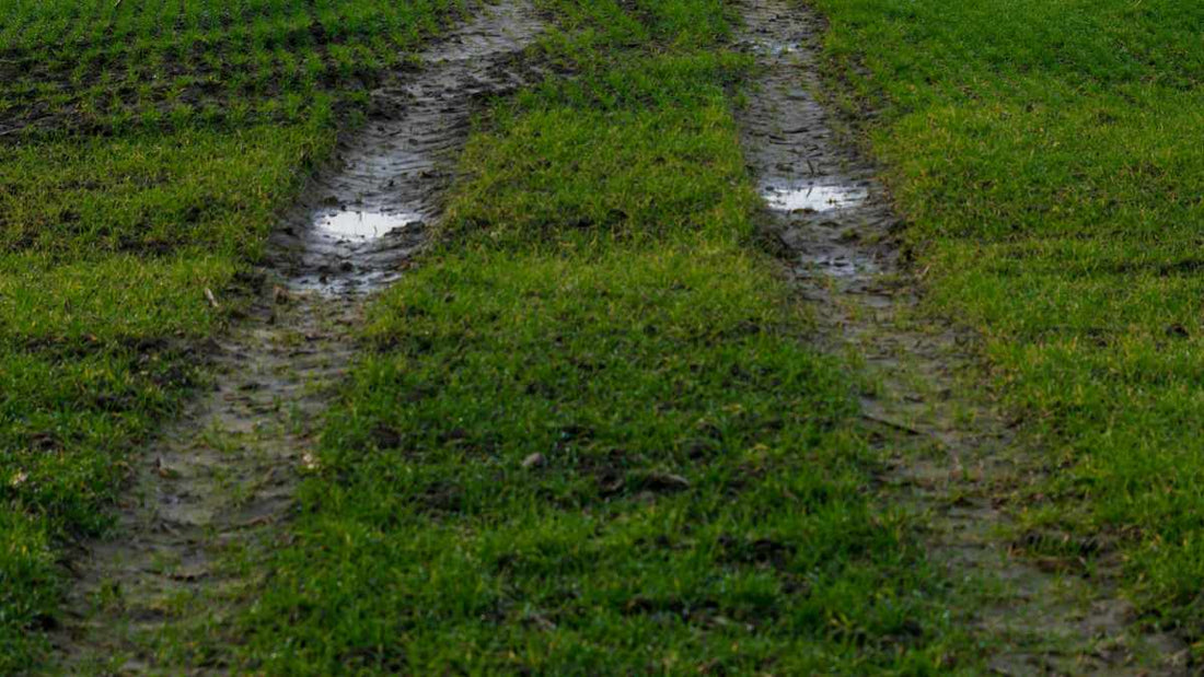 Is Your Soil Draining Too Fast or Too Slowly? How to Tell - World's Coolest Rain Gauge Co.